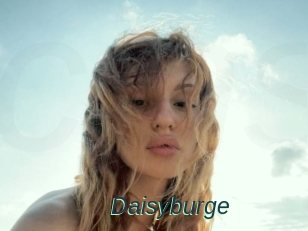 Daisyburge