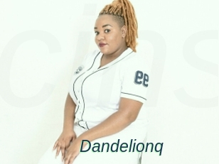 Dandelionq