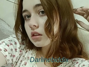 Darlinebiddix