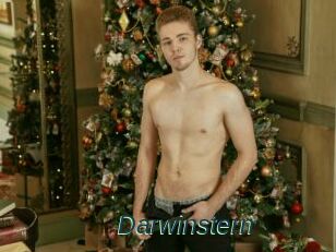 Darwinstern
