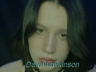 Dawnhawkinson