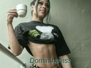 Domin_hamss