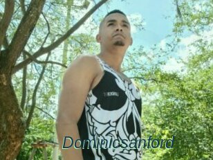 Dominicsanford