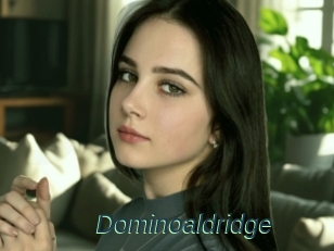 Dominoaldridge