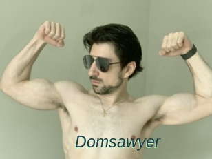 Domsawyer