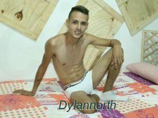 Dylan_north