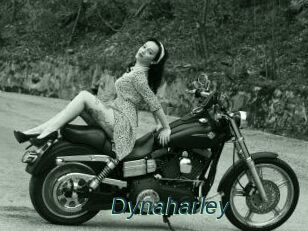 Dynaharley