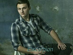 Elscorpion
