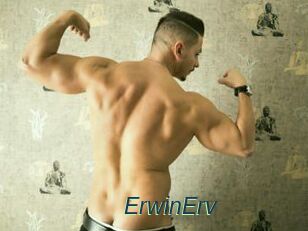 ErwinErv