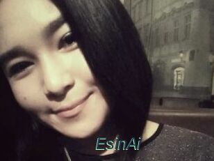 EsinAi