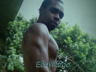 Eddyllargo