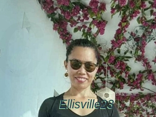 Ellisville23