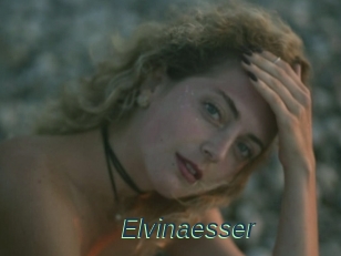 Elvinaesser