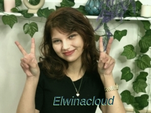 Elwinacloud