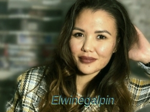 Elwinegalpin