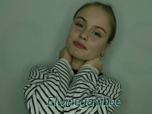 Elwinegambee