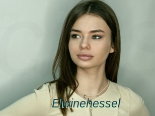 Elwinehessel