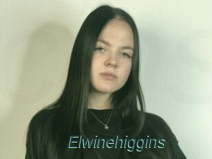 Elwinehiggins