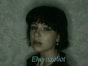 Elwynaeliot