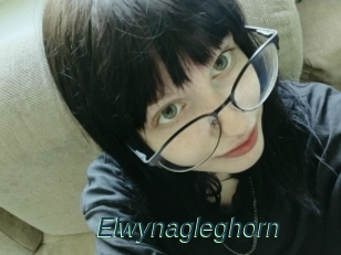 Elwynagleghorn