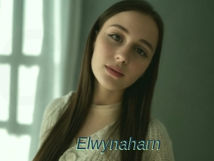 Elwynaharn