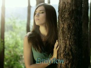Emilyflow