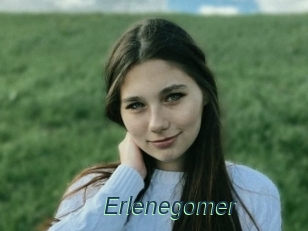 Erlenegomer