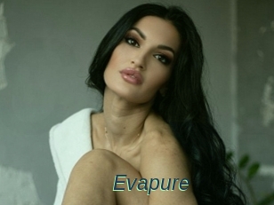 Evapure