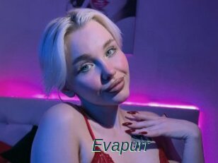 Evapurr