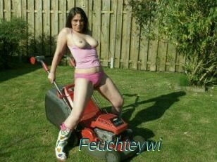 Feuchteywi