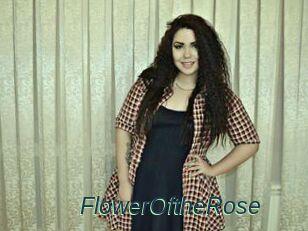 FlowerOftheRose