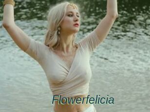 Flowerfelicia