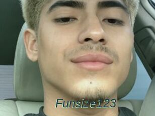 Funsize123