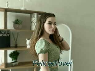 Felicedrover