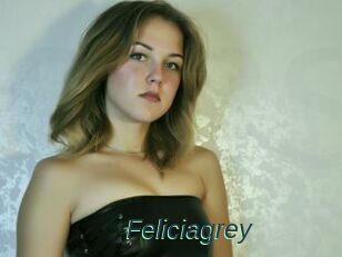 Feliciagrey