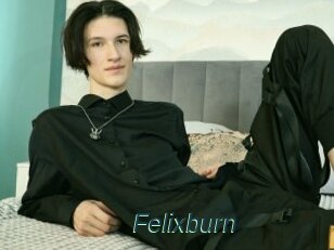 Felixburn