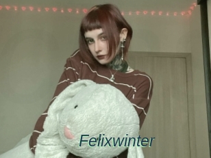 Felixwinter