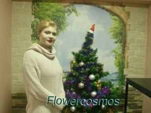 Flowercosmos