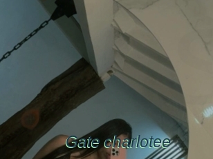 Gate_charlotee