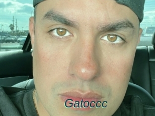 Gatoccc