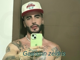 Gawainn_zeldris
