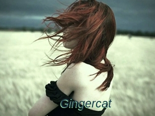 Gingercat