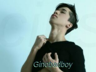 Ginobadboy