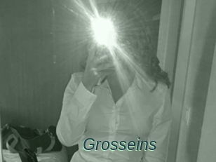 Grosseins