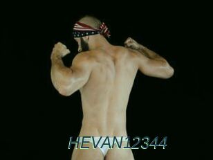 HEVAN12344