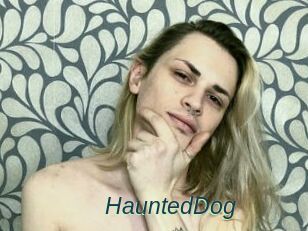 HauntedDog