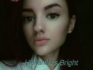 Helianthus_Bright