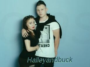 Halleyandbuck