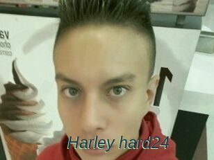 Harley_hard24