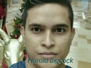 Harold_bigcock